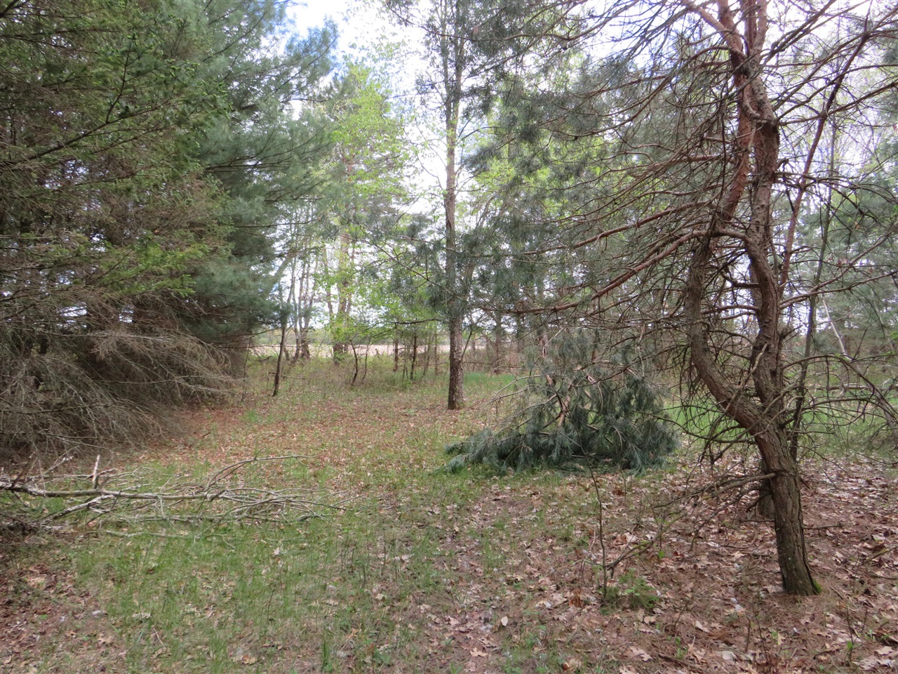 6800 170th Avenue, Stanwood, MI, 49346-8934