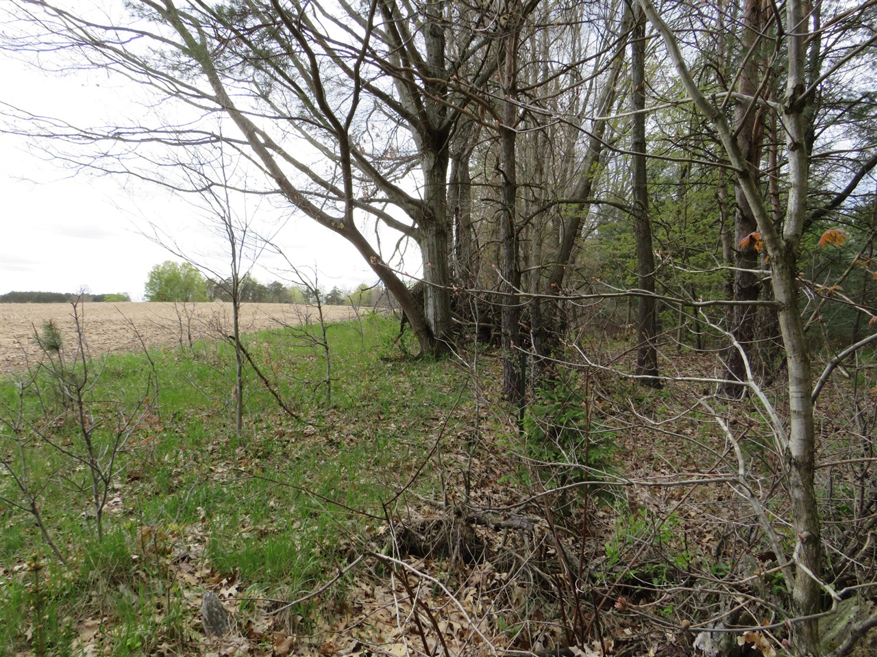 6800 170th Avenue, Stanwood, MI, 49346-8934