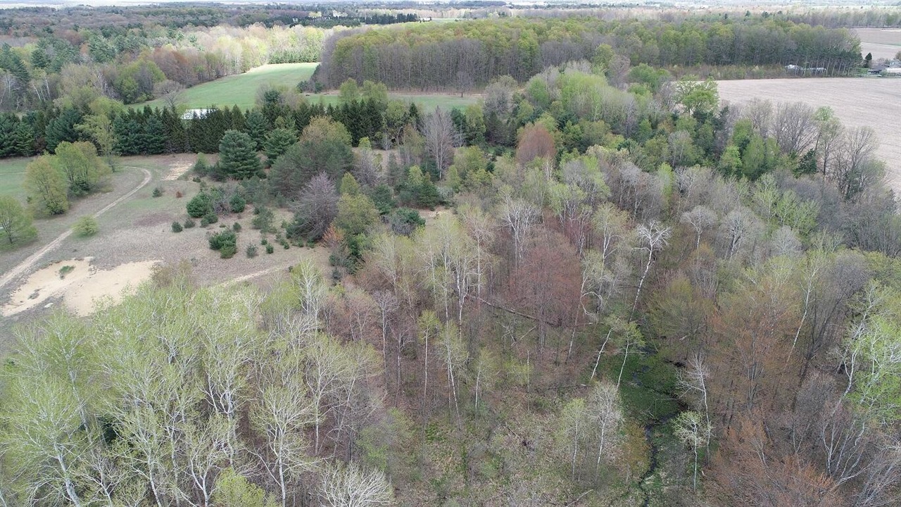 6800 170th Avenue, Stanwood, MI, 49346-8934