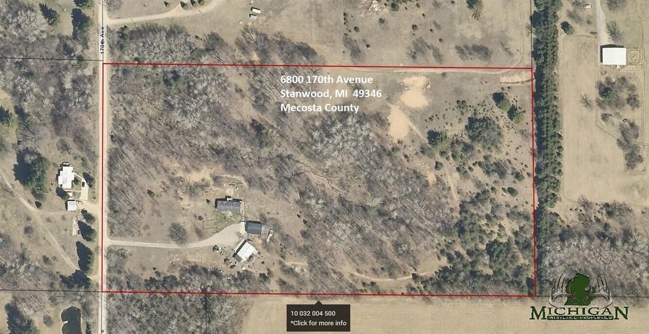 6800 170th Avenue, Stanwood, MI, 49346-8934
