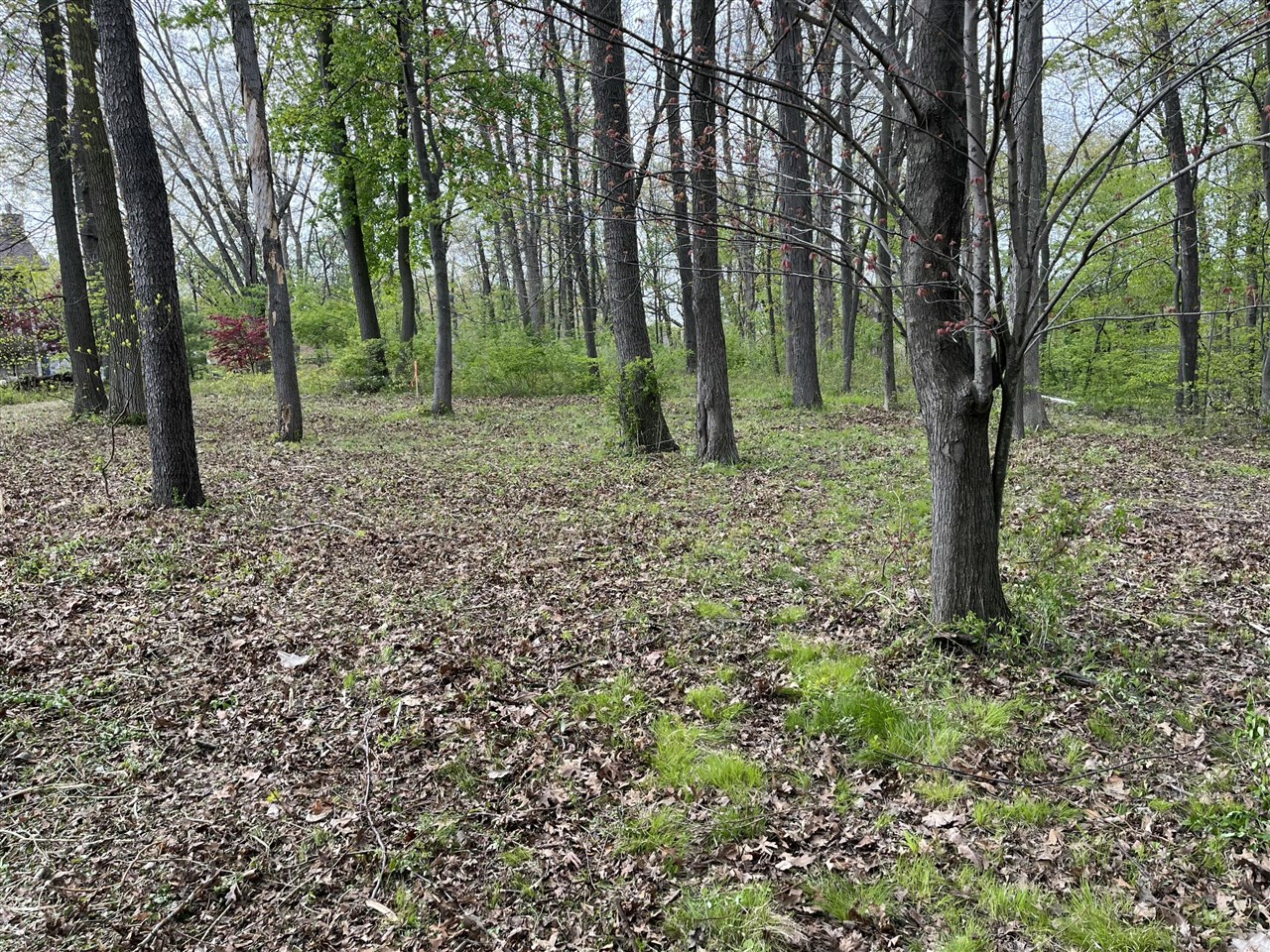 5th image of 820 E Indiana St, New Buffalo, MI 49117 | MLS# 70531452