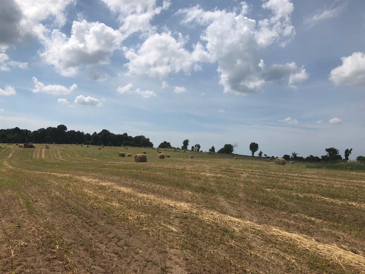 Photo 2 of Land for sale at Cr 681, Hartford, MI 49057 | MLS# 70532834 | Listing updated on 2026-09-30