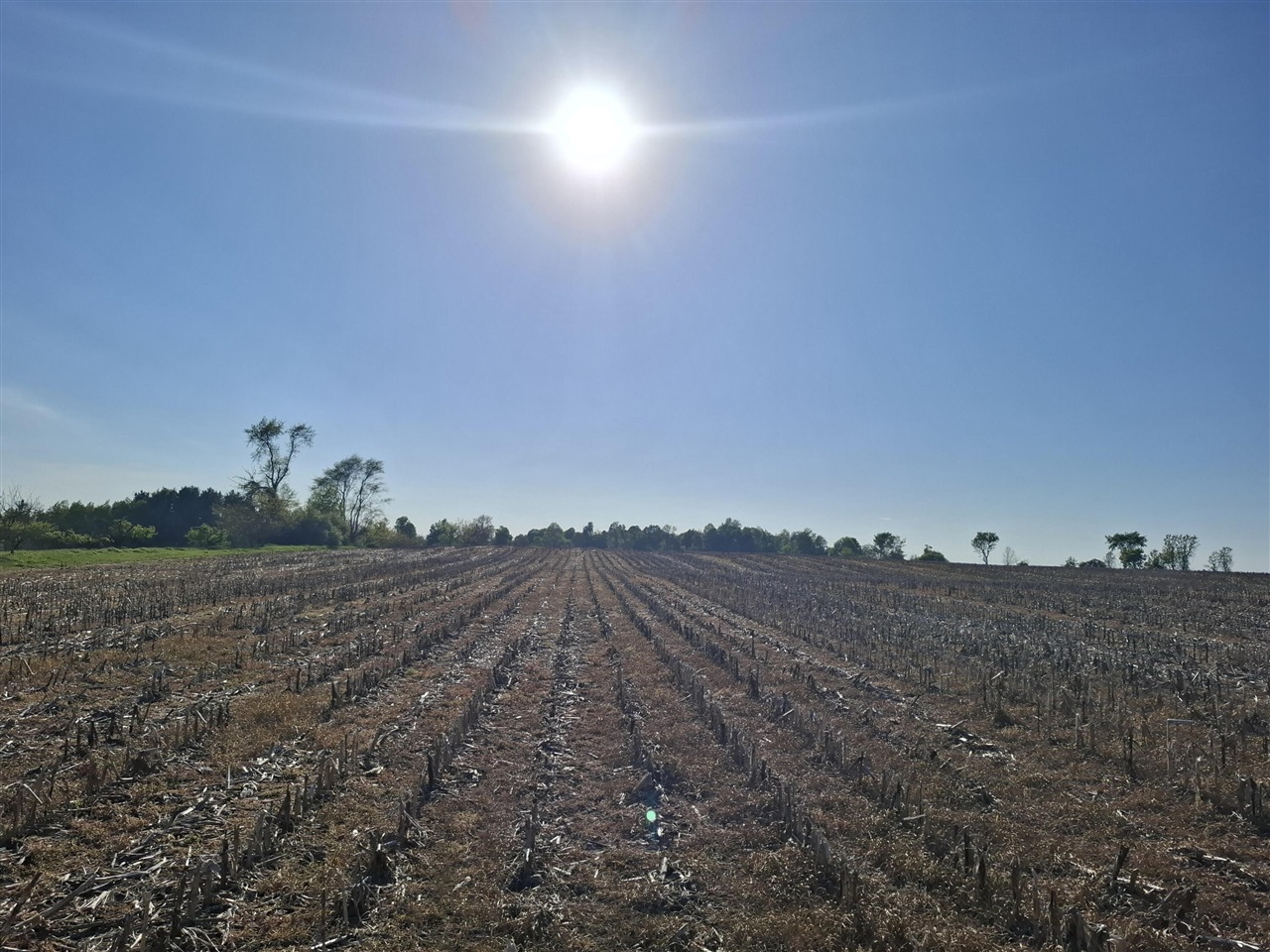 Photo 3 of Land for sale at Cr 681, Hartford, MI 49057 | MLS# 70532834 | Listing updated on 2026-09-30