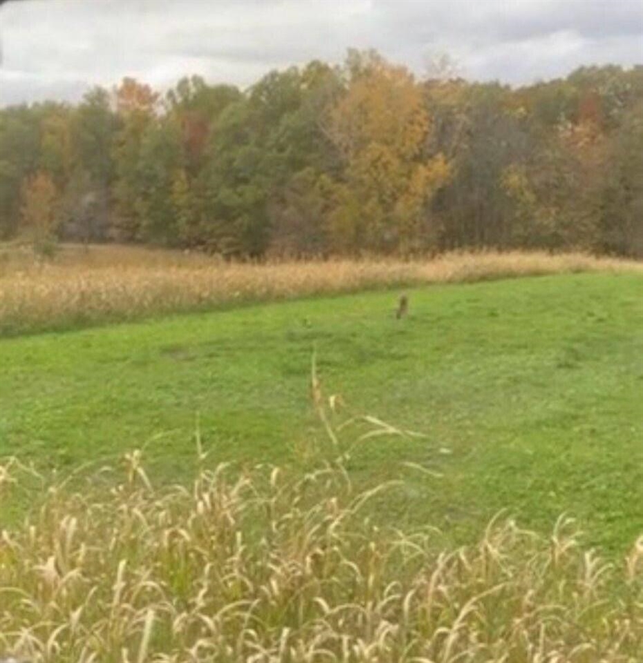 Photo 2 of Land for sale at 13000 Woerner Rd, Manitou Beach, MI 49253 | MLS# 70532859 | Listing updated on 2026-09-14