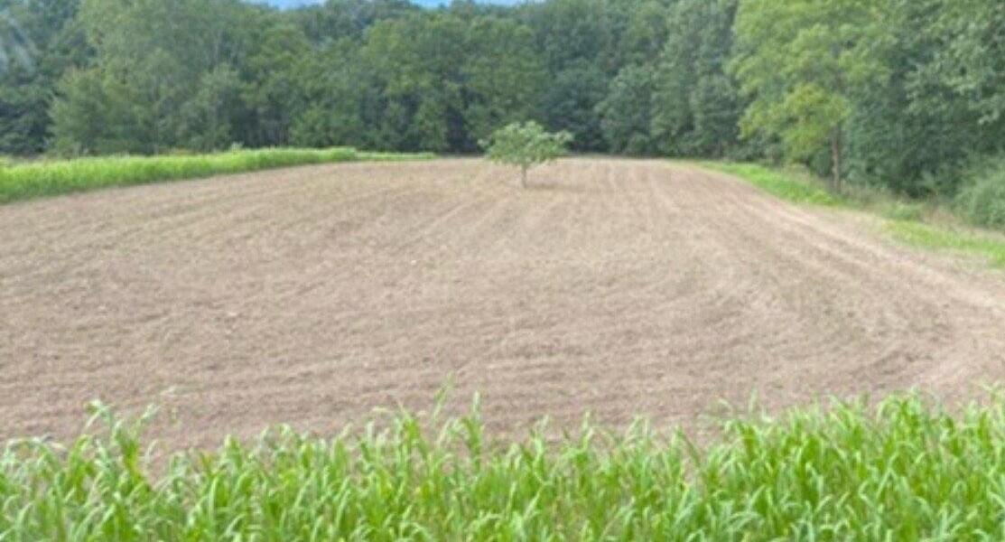 Photo 3 of Land for sale at 13000 Woerner Rd, Manitou Beach, MI 49253 | MLS# 70532859 | Listing updated on 2026-09-14