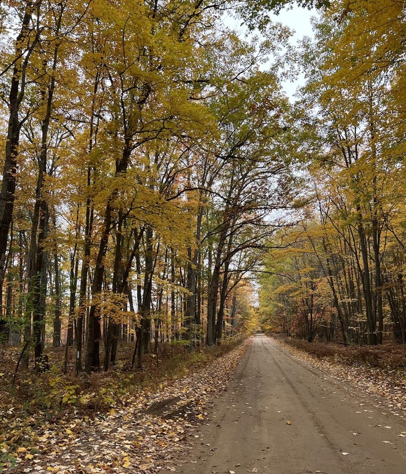 4th image of 7584 Railroad Grade, Gladwin, MI 48624 | MLS# 70532875
