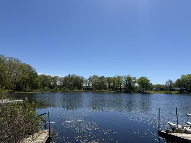 2nd image of 5289 High Tower Lake Rd, Hesperia, MI 49421 | MLS# 70533468