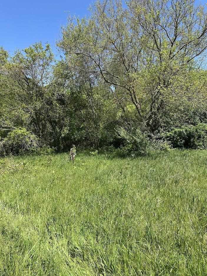 2nd image of 11630 Greenlawn Dr, Jerome, MI 49249 | MLS# 70533546