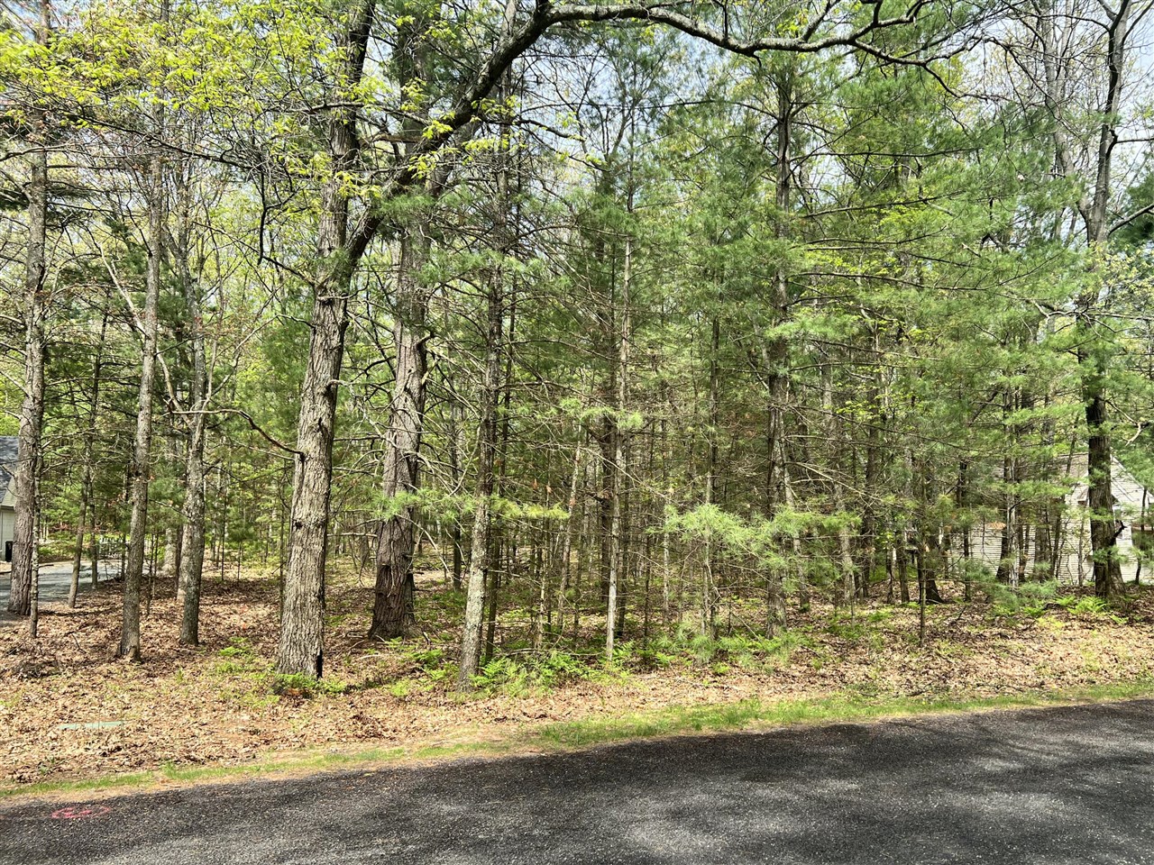 2nd image of Lot 95 Iroquois Rd, Pentwater, MI 49449 | MLS# 70533548