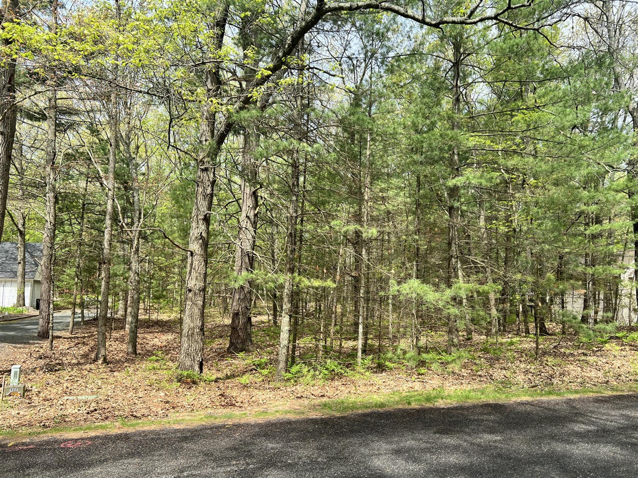 3rd image of Lot 95 Iroquois Rd, Pentwater, MI 49449 | MLS# 70533548