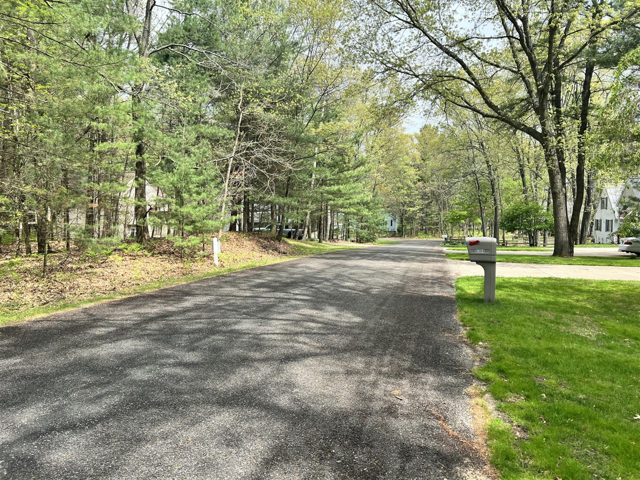 4th image of Lot 95 Iroquois Rd, Pentwater, MI 49449 | MLS# 70533548