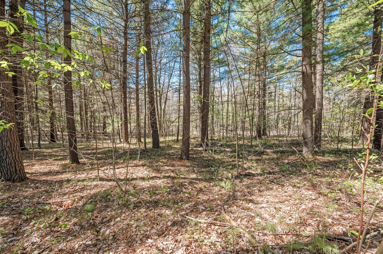 Photo 4 of Land for sale at 85 Acre V/l Three Mile Rd, Hersey, MI 49639 | MLS# 70533601 | Listing updated on 2026-09-16