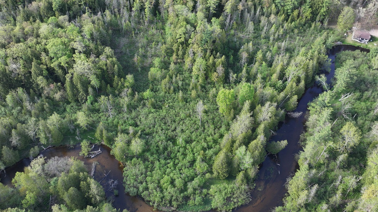 Photo 3 of Land for sale at V/l E Pomeroy Springs Rd, Irons, MI 49644 | MLS# 70533645 | Listing updated on 2026-09-21