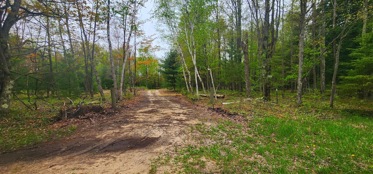 Photo 1 of Land for sale at 2187 W Koenig Rd, Manistee, MI 49660 | MLS# 70533697 | Listing updated on 2026-09-21