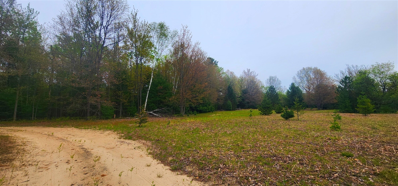 Photo 3 of Land for sale at 2187 W Koenig Rd, Manistee, MI 49660 | MLS# 70533697 | Listing updated on 2026-09-21