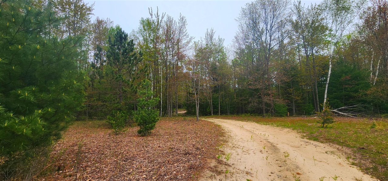 Photo 4 of Land for sale at 2187 W Koenig Rd, Manistee, MI 49660 | MLS# 70533697 | Listing updated on 2026-09-21
