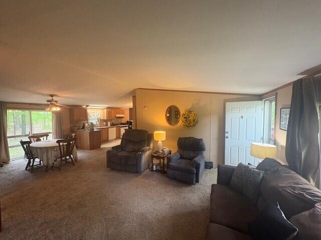 image of 18412 Royena Dr, Marion, MI 49665 | MLS# 70534136