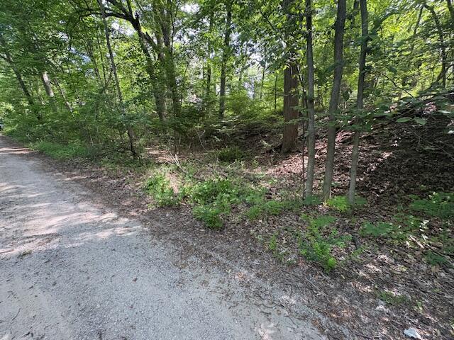 Photo 1 of Land for sale at 19343 Ravine Dr, New Buffalo, MI 49117 | MLS# 70535709 | Listing updated on 2026-06-05