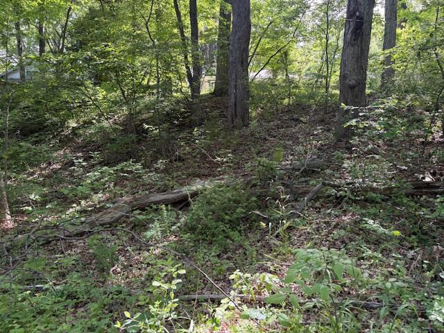 Photo 4 of Land for sale at 19343 Ravine Dr, New Buffalo, MI 49117 | MLS# 70535709 | Listing updated on 2026-06-05