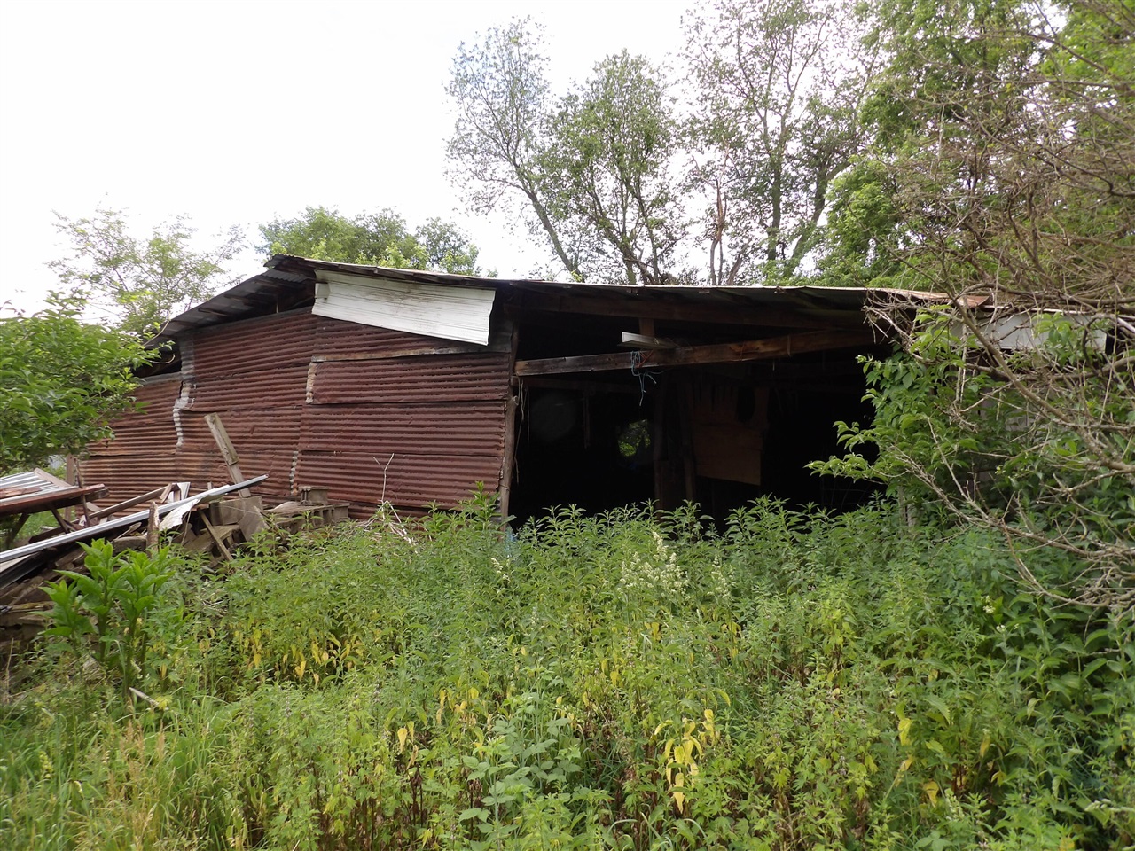 Property photo 4
