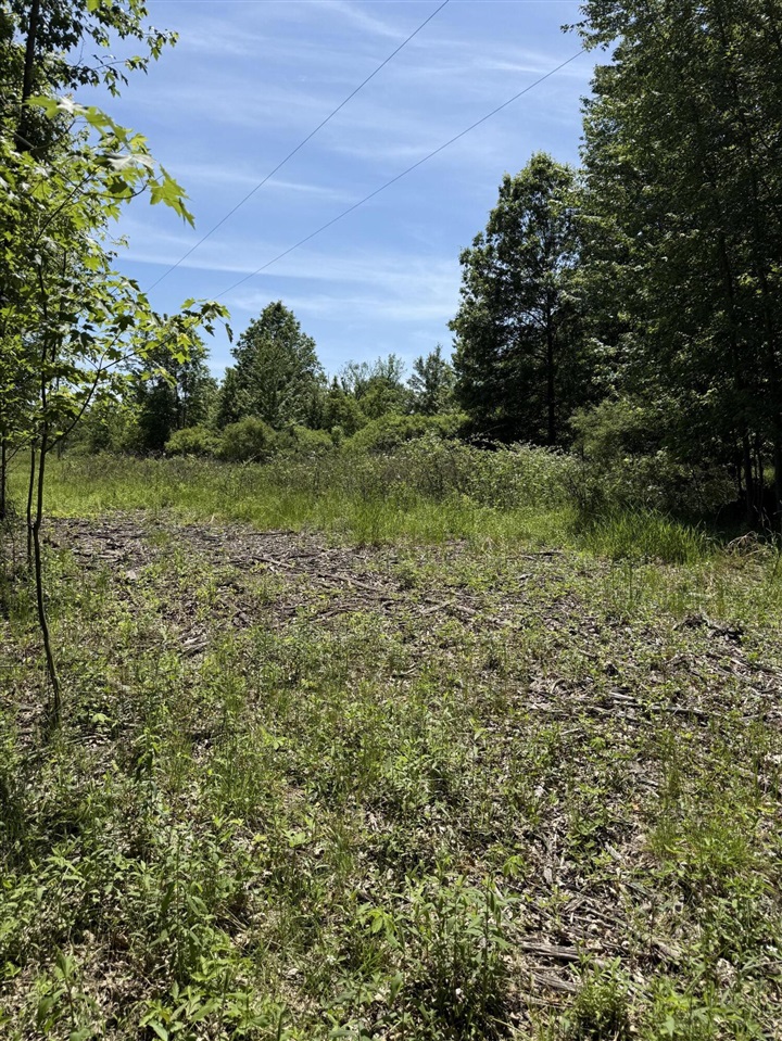 1st image of V/l 50th Street, Bangor, MI 49013 | MLS# 70535880