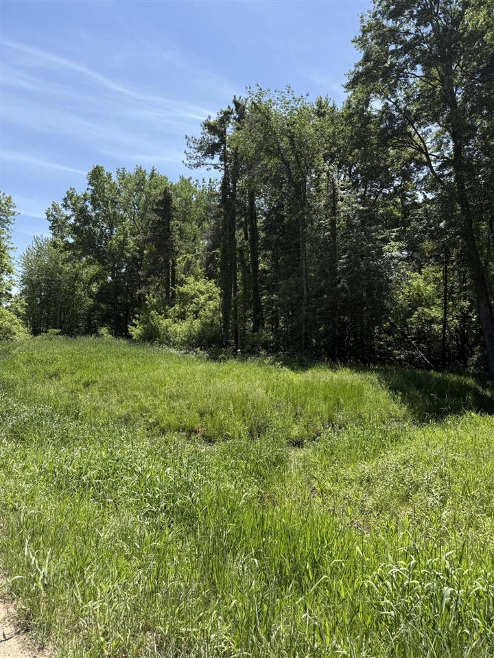 3rd image of V/L 50Th Street, Bangor, MI 49013 | MLS# 70535880