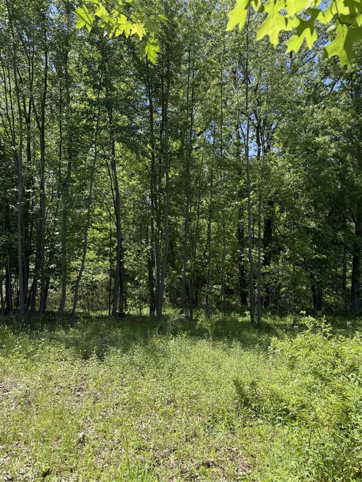 4th image of V/L 50Th Street, Bangor, MI 49013 | MLS# 70535880