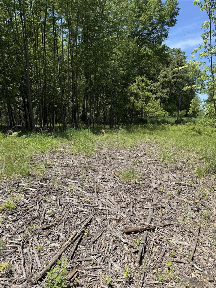 5th image of V/L 50Th Street, Bangor, MI 49013 | MLS# 70535880