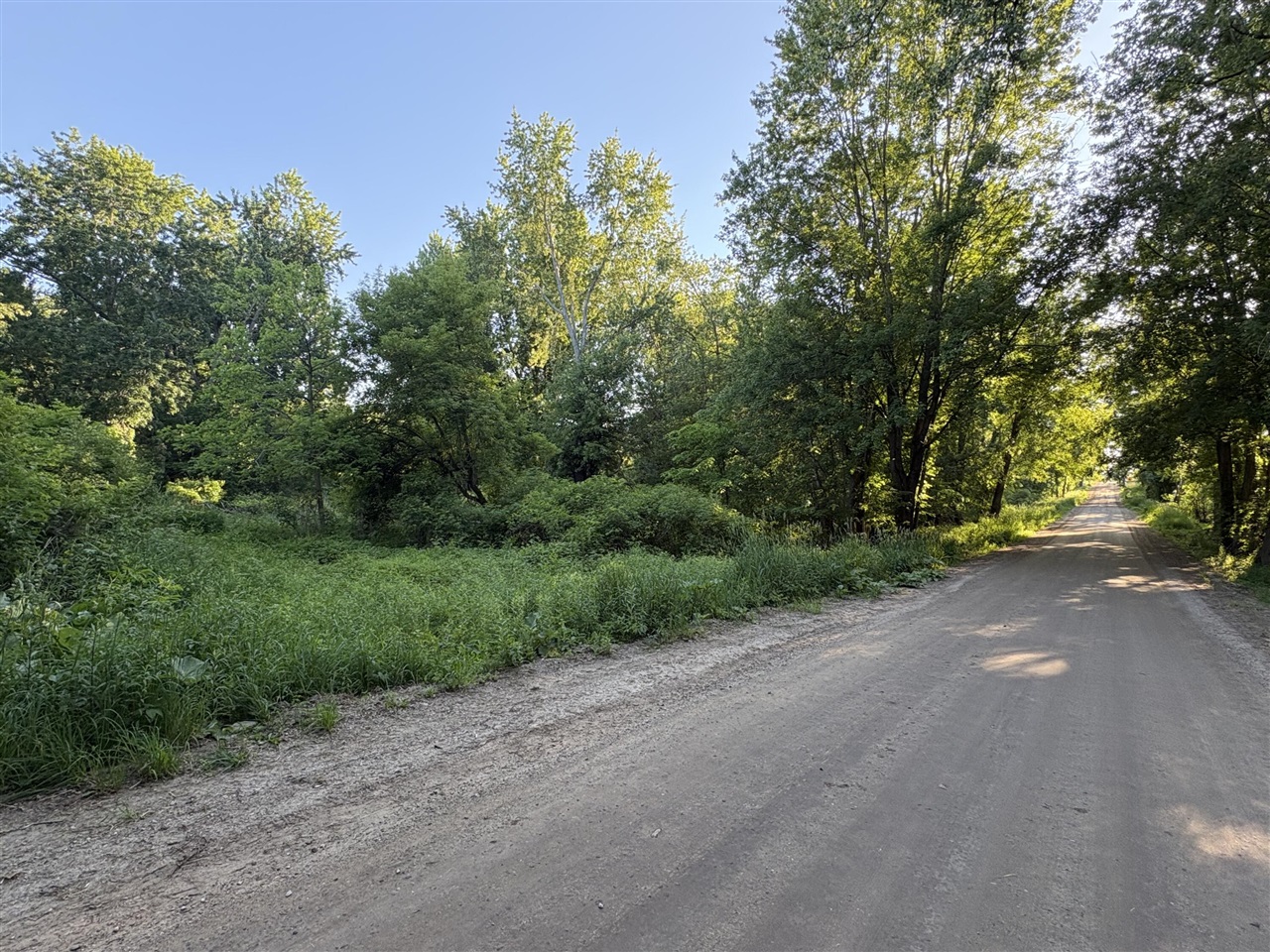 Homes for sale in Potterville, MI | Pinch Hwy, Potterville, MI 48876 | MLS# 70536261