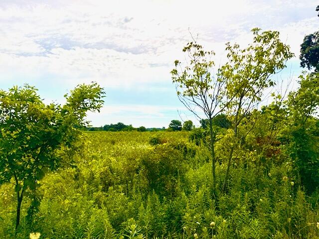 3rd image of 0 Carpenter Rd, Three Oaks, MI 49128 | MLS# 70537083