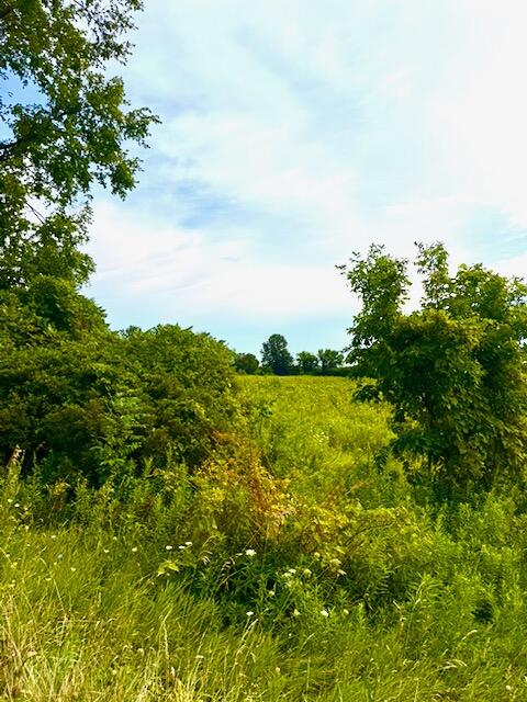 4th image of 0 Carpenter Rd, Three Oaks, MI 49128 | MLS# 70537083