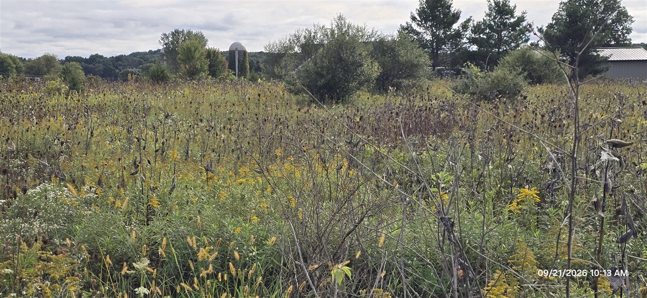 Land for sale at 859 Greystone Dr, Chelsea, MI 48118 | MLS# 70537094