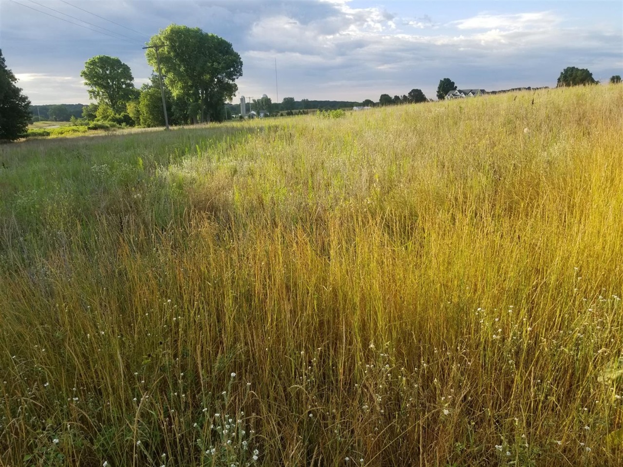 Photo 2 of Land for sale at 859 Greystone Dr, Chelsea, MI 48118 | MLS# 70537094 | Listing updated on 2026-09-22