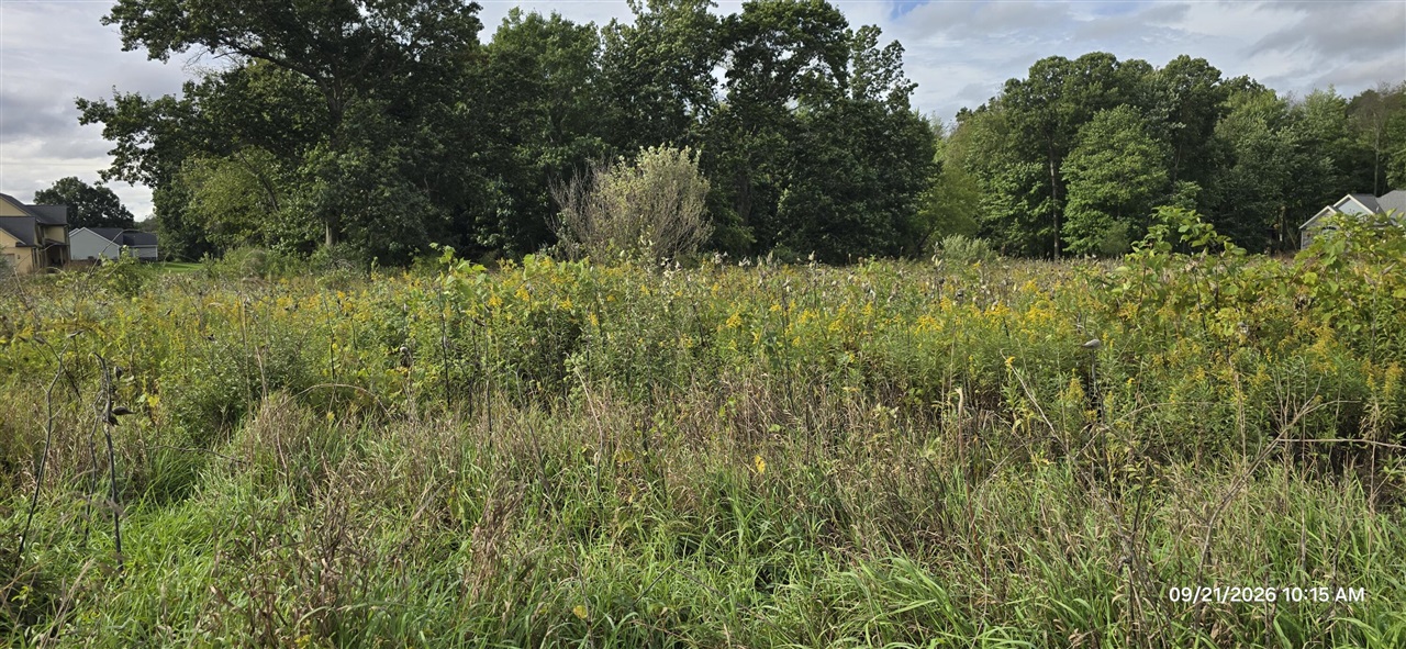 Photo 3 of Land for sale at 859 Greystone Dr, Chelsea, MI 48118 | MLS# 70537094 | Listing updated on 2026-09-22