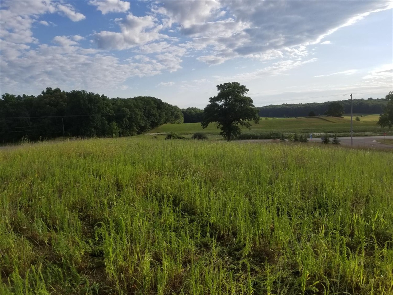 Photo 4 of Land for sale at 859 Greystone Dr, Chelsea, MI 48118 | MLS# 70537094 | Listing updated on 2026-09-22