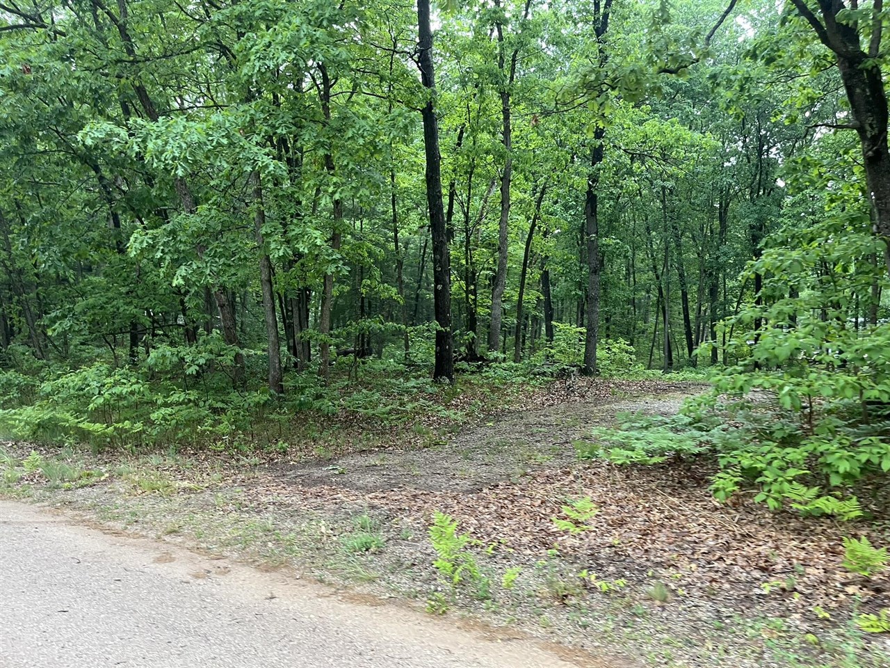 Photo 2 of Land for sale at V/l E Sandra Kay Rd, Fountain, MI 49410 | MLS# 70537218 | Listing updated on 2026-09-14