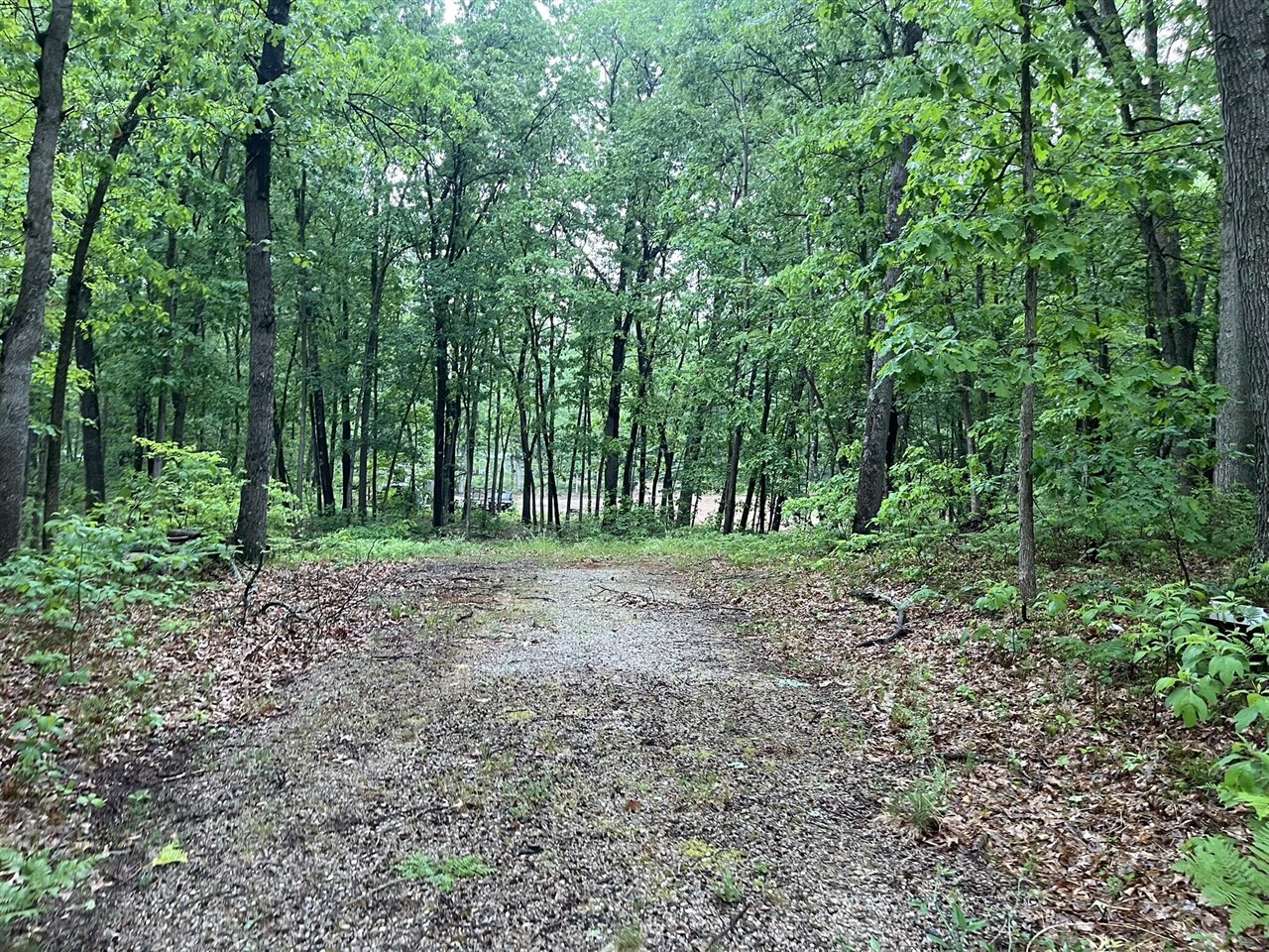 Photo 3 of Land for sale at V/l E Sandra Kay Rd, Fountain, MI 49410 | MLS# 70537218 | Listing updated on 2026-09-14