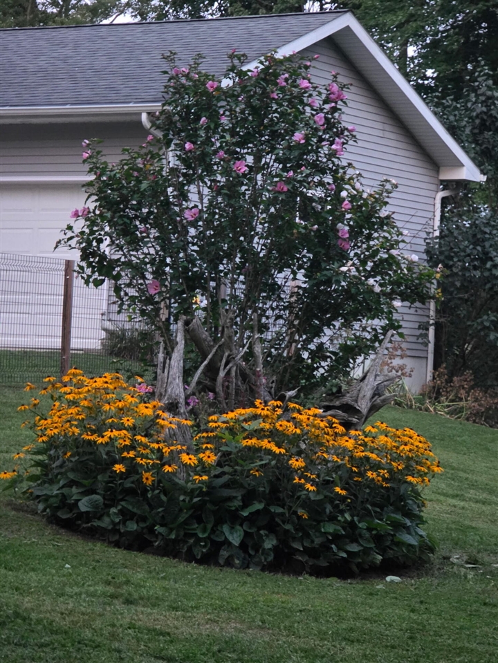4th image of 6670 Tower Lake Rd, Belding, MI 48809 | MLS# 70537342