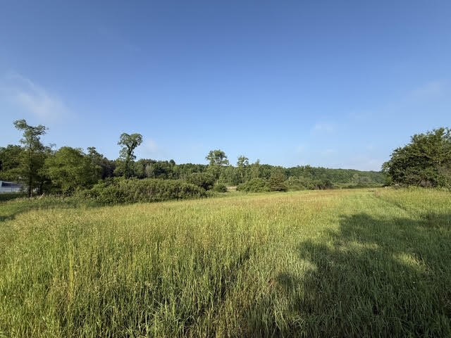 1st image of E M 79, Nashville, MI 49073 | MLS# 70537722