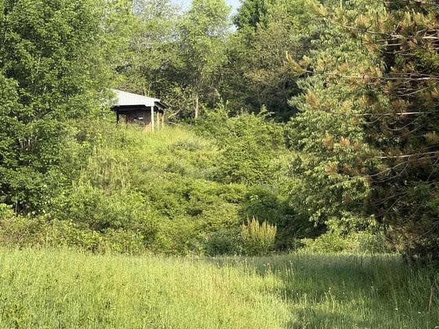 11th image of E M 79, Nashville, MI 49073 | MLS# 70537722