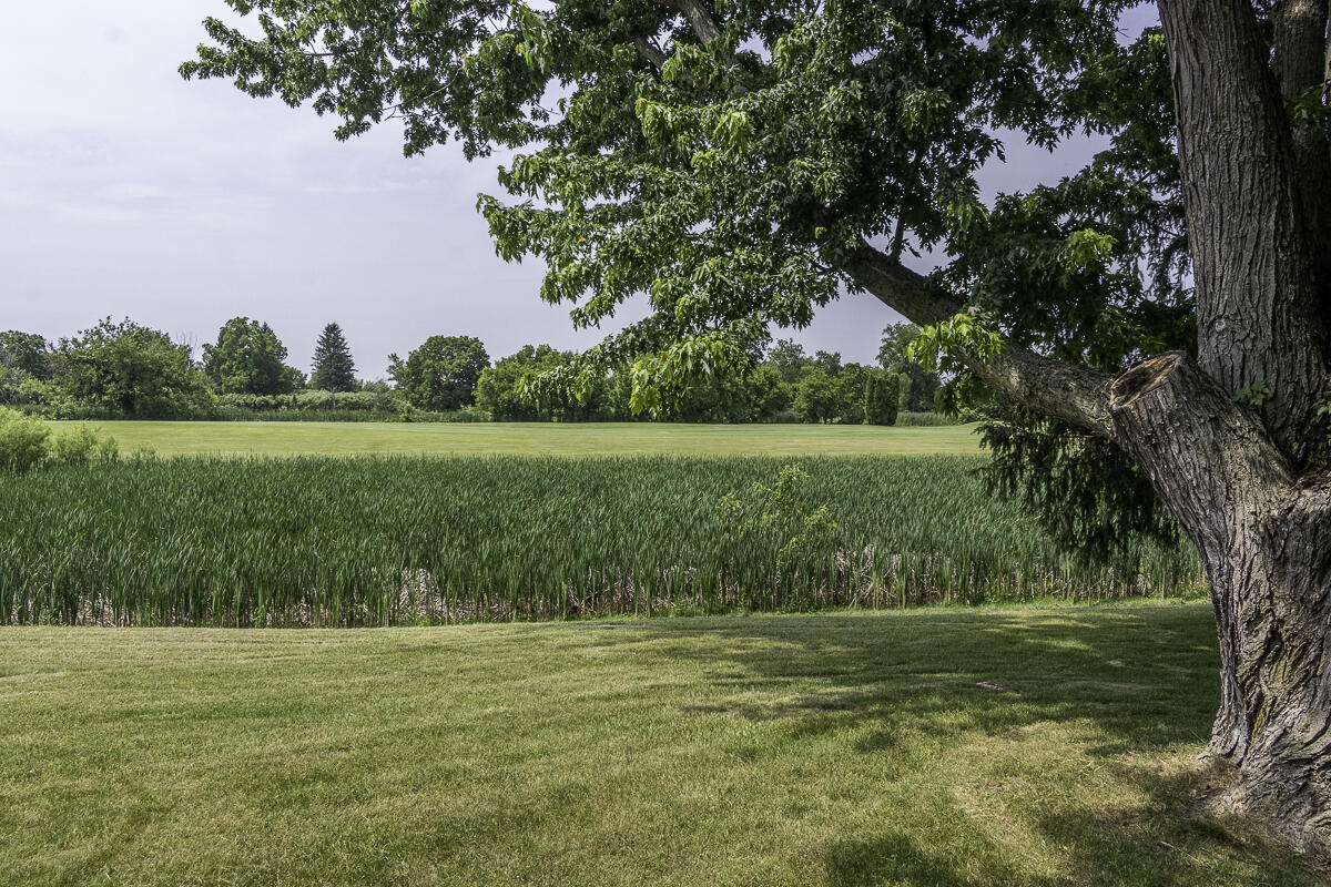45th image of 6125 W X Y Ave, Schoolcraft, MI 49087 | MLS# 70537761