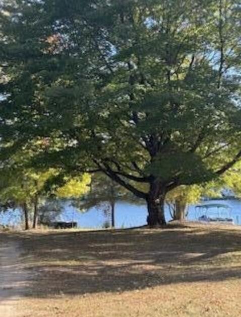 Photo 1 of Land for sale at 7021 Southwest Dr, Stanwood, MI 49346 | MLS# 70537977 | Listing updated on 2026-09-18