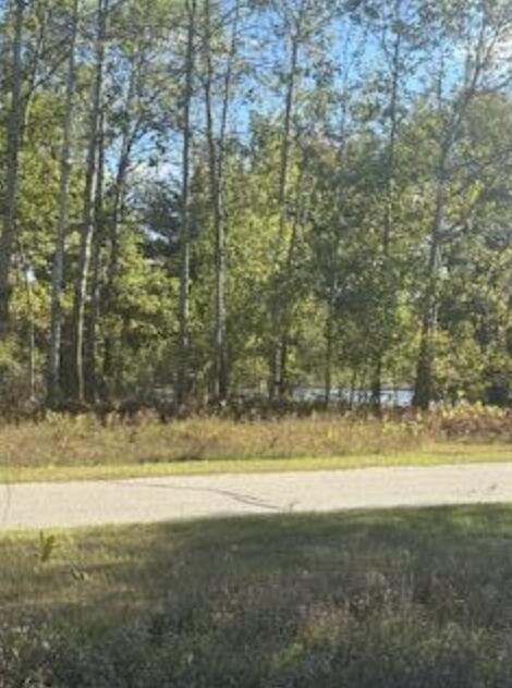Photo 3 of Land for sale at 7021 Southwest Dr, Stanwood, MI 49346 | MLS# 70537977 | Listing updated on 2026-09-18