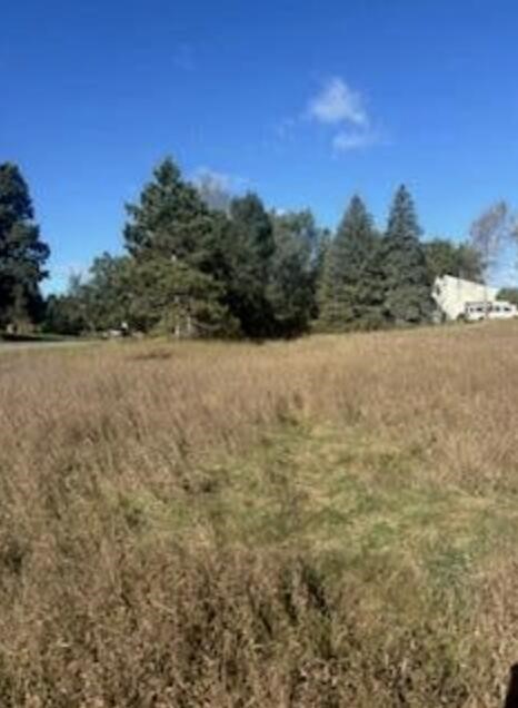 Photo 4 of Land for sale at 7021 Southwest Dr, Stanwood, MI 49346 | MLS# 70537977 | Listing updated on 2026-09-18