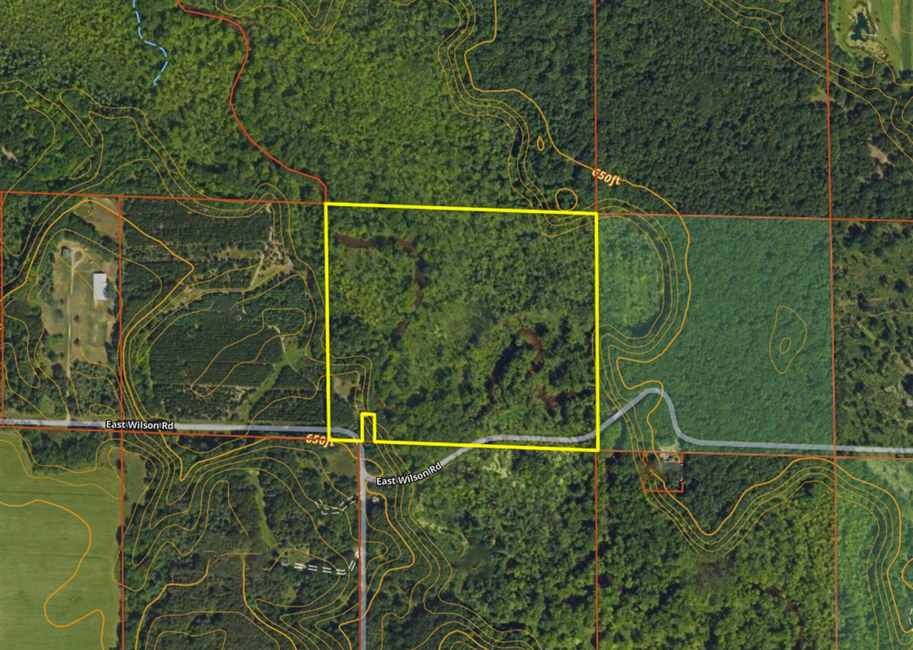 Homes for sale in Custer, MI | 3804 E Wilson Rd, Custer, MI 49405 | MLS# 70538336