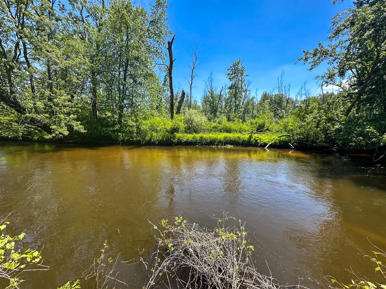 Homes for sale in Custer, MI | 3804 E Wilson Rd, Custer, MI 49405 | MLS# 70538336