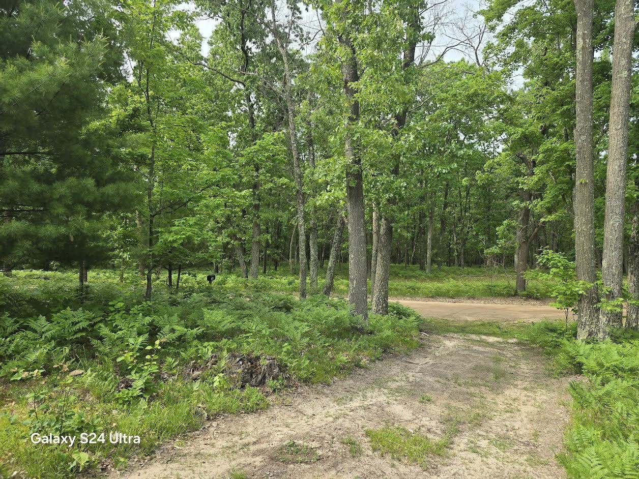 2nd image of 4749 W 9 Mile Rd, Irons, MI 49644 | MLS# 70538917