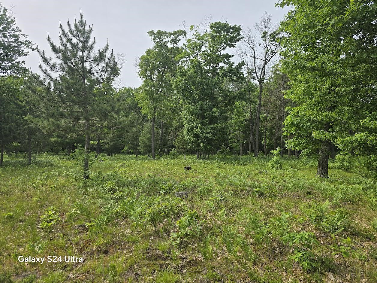 4th image of 4749 W 9 Mile Rd, Irons, MI 49644 | MLS# 70538917