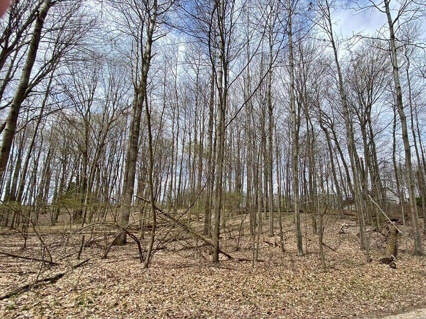 Photo 3 of Land for sale at 9372 E Circle Dr, Stanwood, MI 49346 | MLS# 70538939 | Listing updated on 2026-09-22