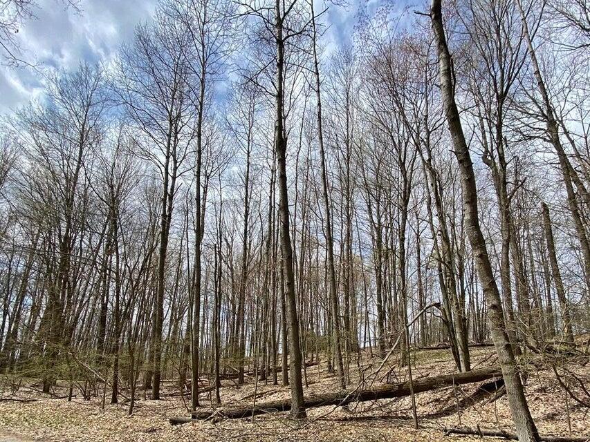 Photo 4 of Land for sale at 9372 E Circle Dr, Stanwood, MI 49346 | MLS# 70538939 | Listing updated on 2026-09-22